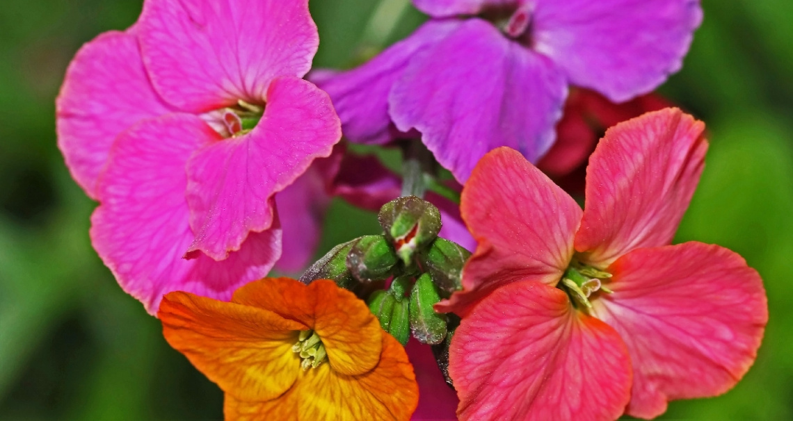 Colorful moment