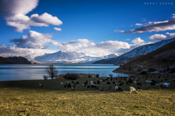 Doğa