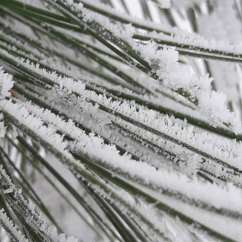 snow
