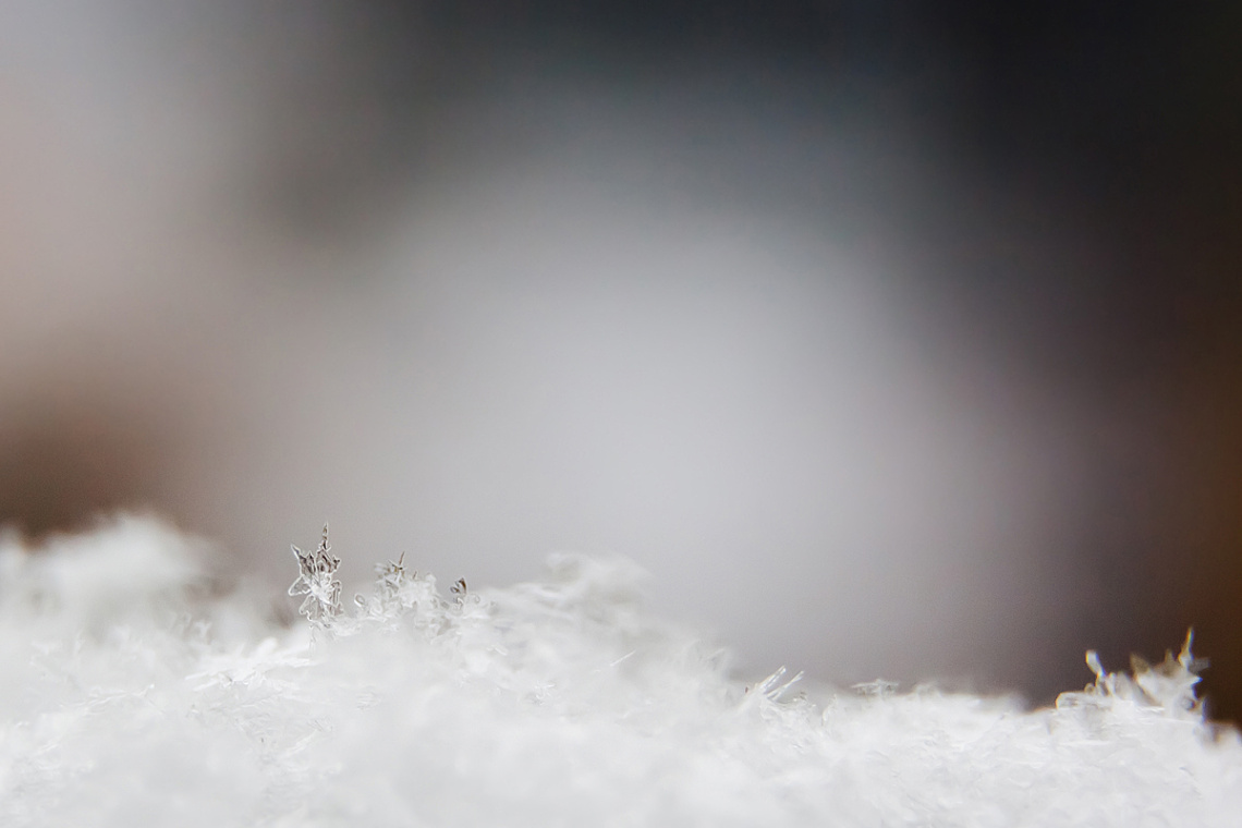 just snow