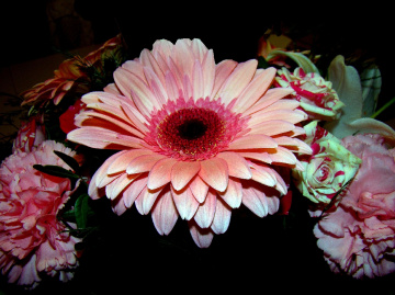 BLÜTEN /