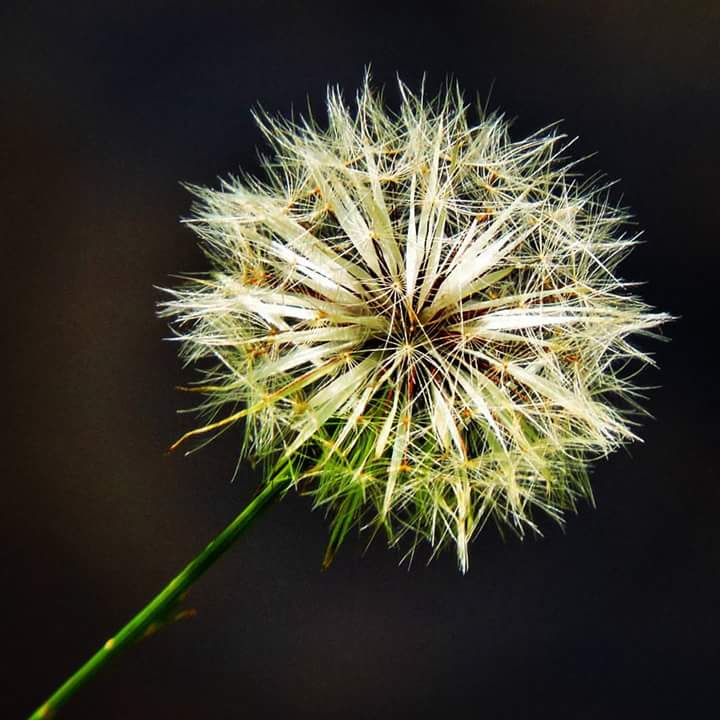 The beauty of the simple