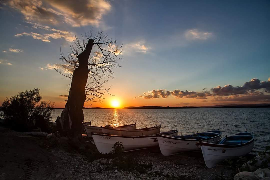 Gõlyazı