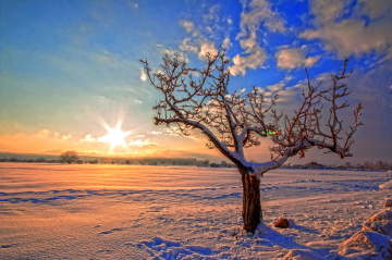 Kar- Kış ve Güne Veda