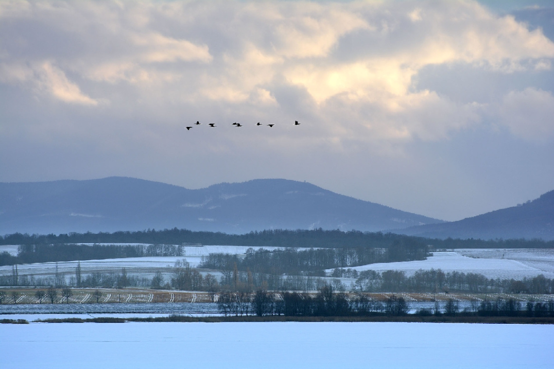 ...winter