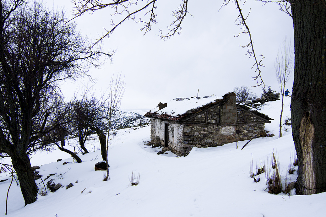 Yayla Evi