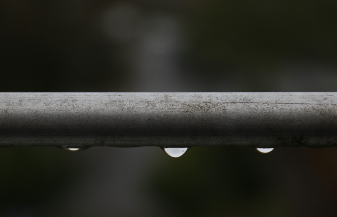 Drops on a gray day