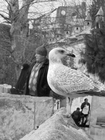 ''Umutsuzlar Parkı''