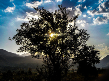 #sun #cloud