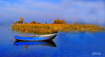 SAZLIKTA BİR KAYIK