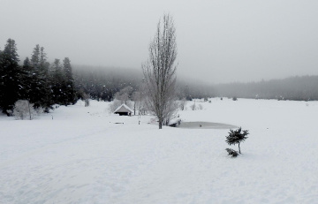 her yerde kar var...