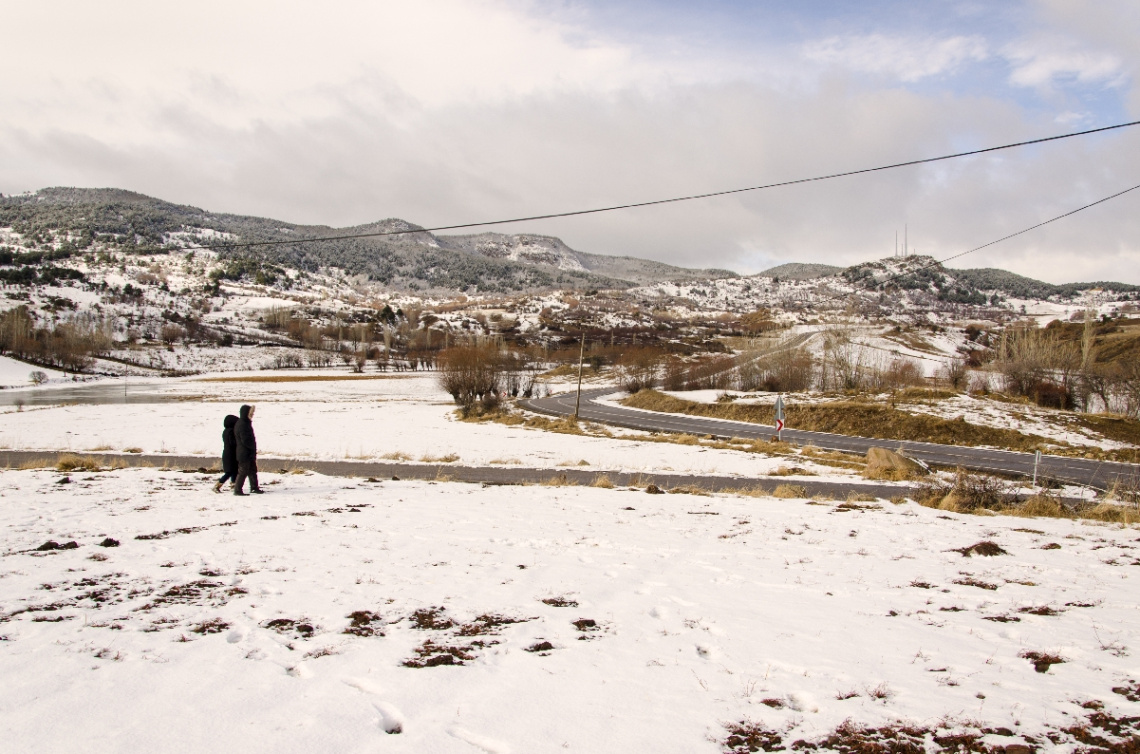 Sevgi