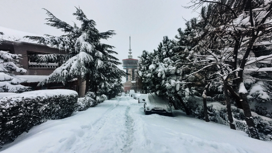 Snow