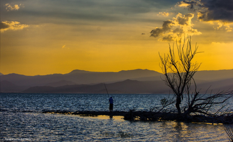 fisherman