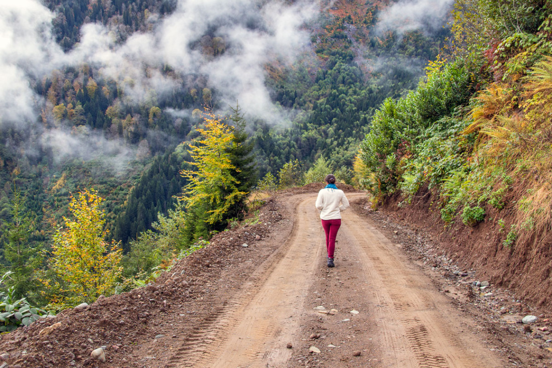 Yayla yollarında...