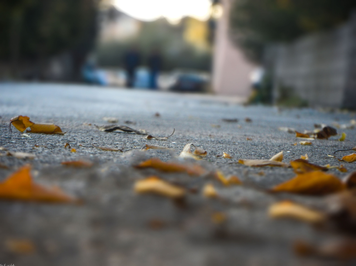 #autumn #leaf