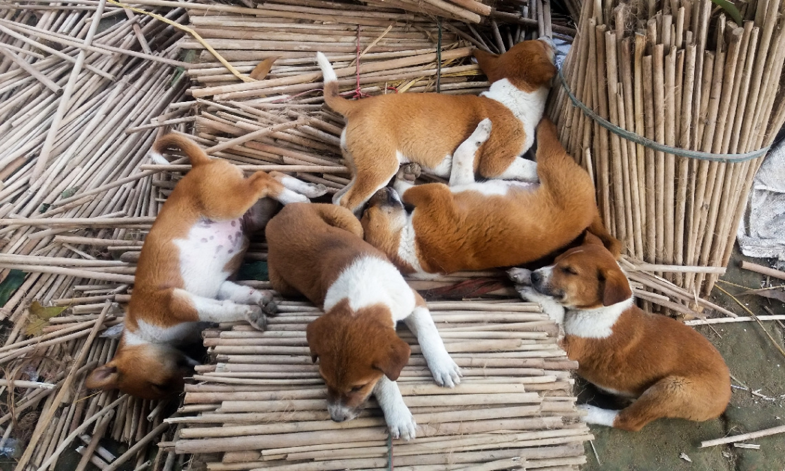 Sleeping Time