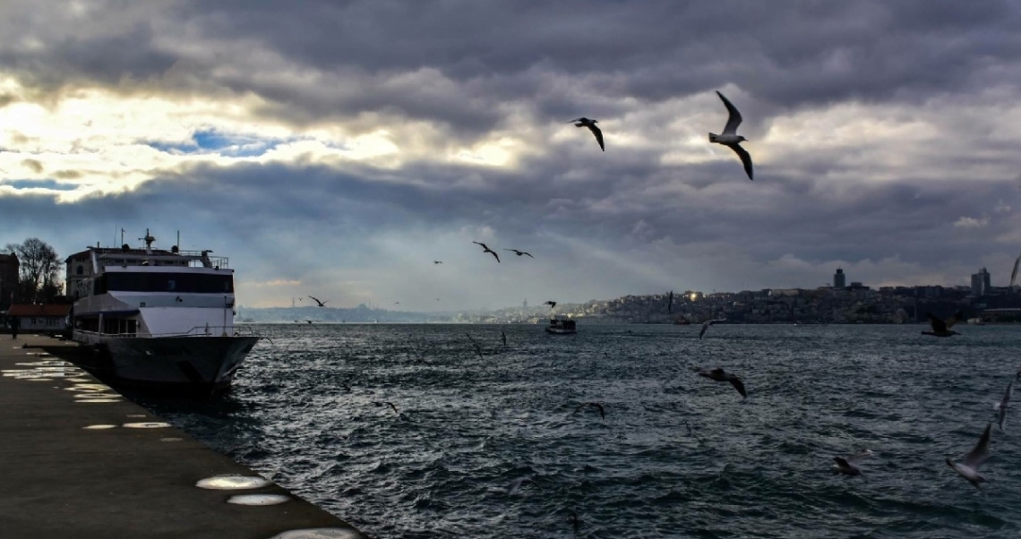 İstanbul ve martılar 
