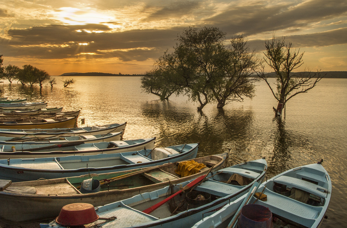 Gõlyazı