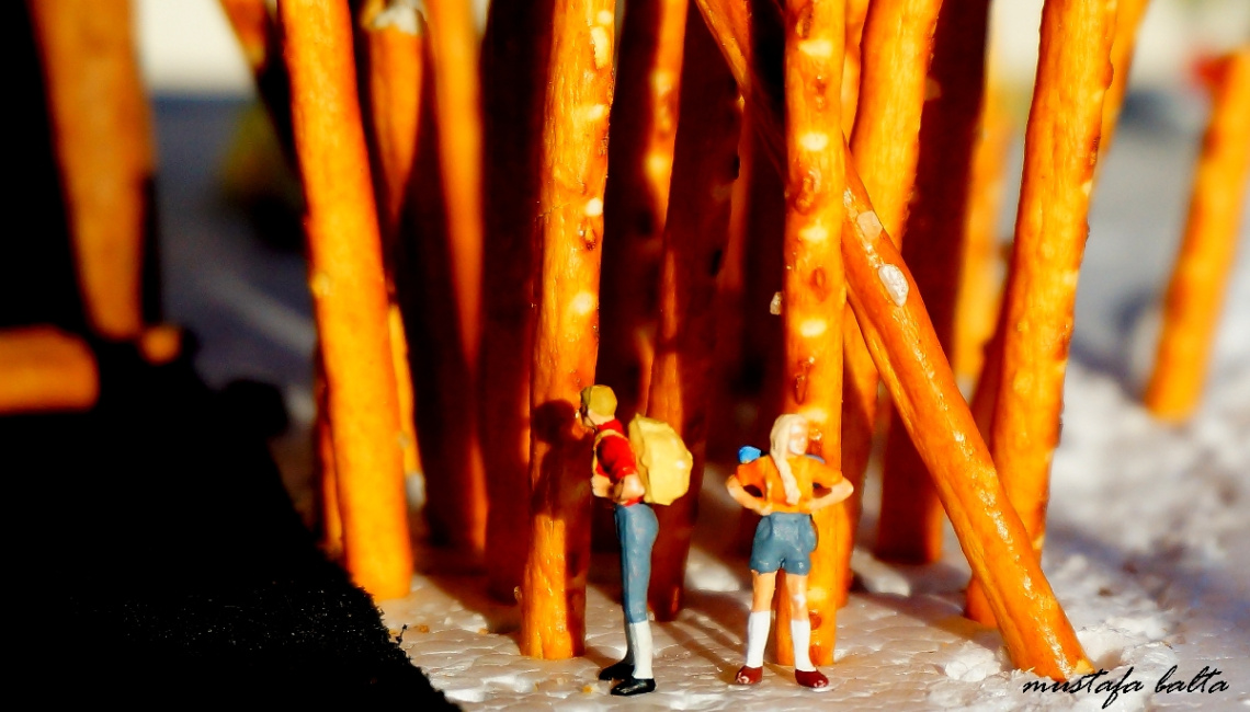 Miniciks Hayatlar  KARLI KAYIN ORMANI  