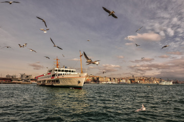 MARTI ÇIĞLIĞI