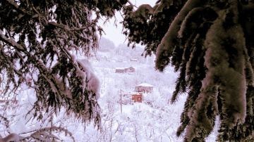 Her taraf bembeyaz