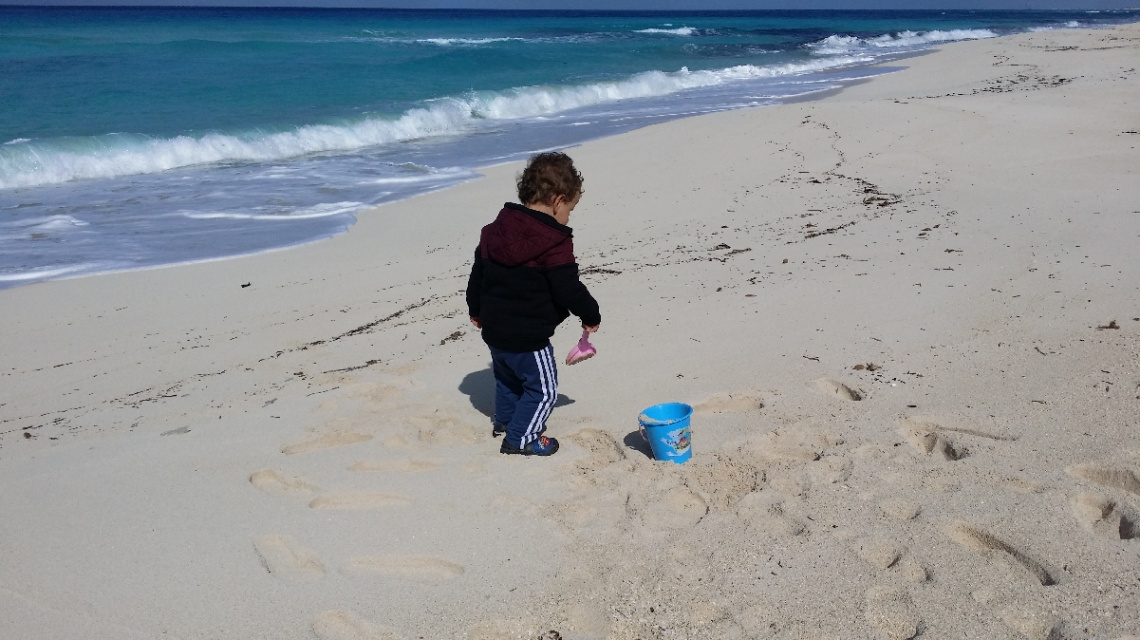 Egypt - North coast winter