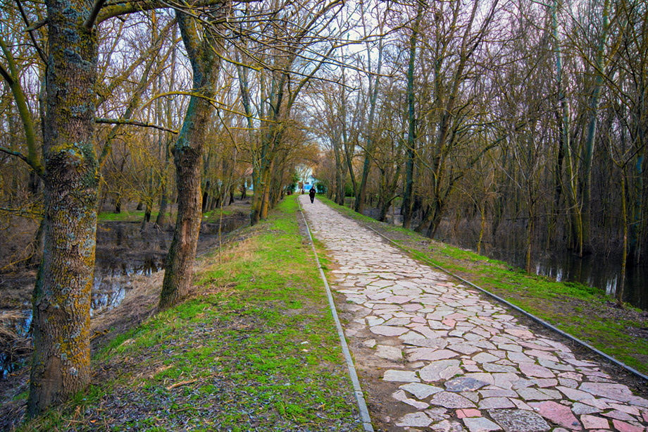 Bandırma Kuş Cenneti Milli Park