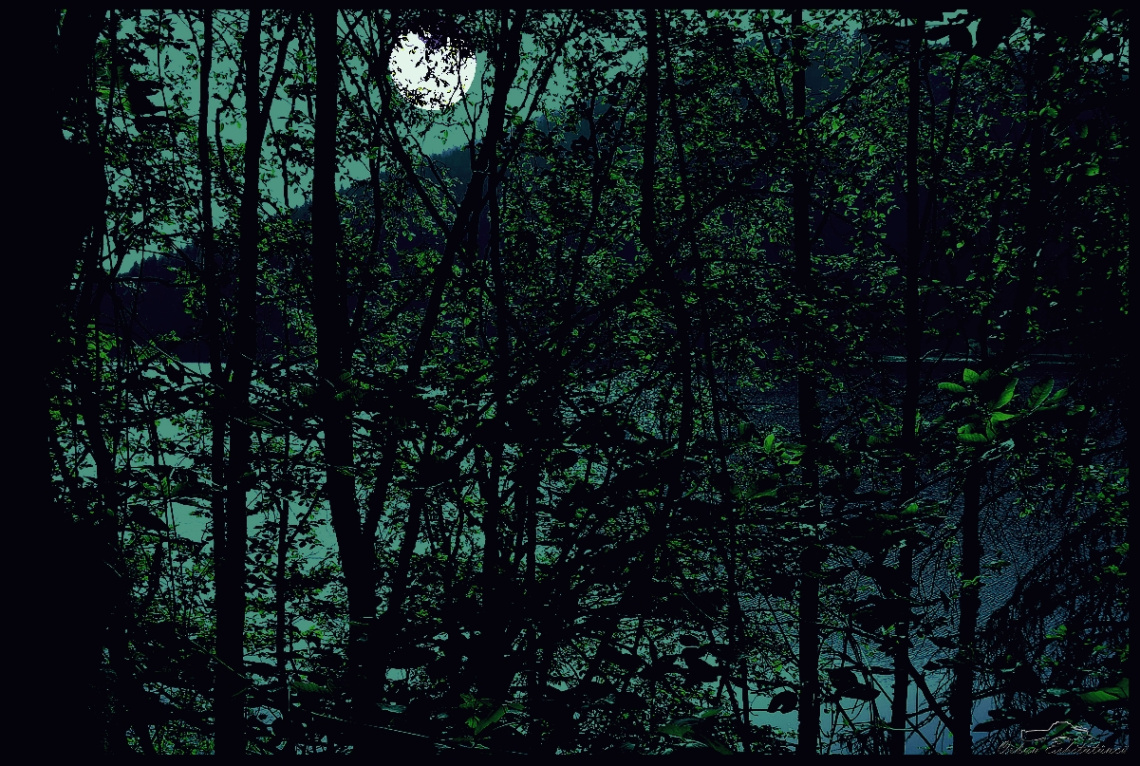 The lake
