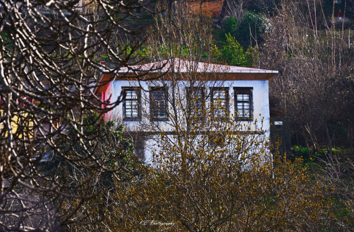 Manzara