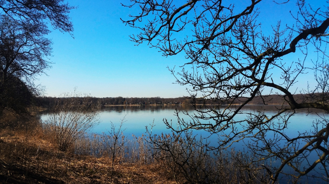 By the lake