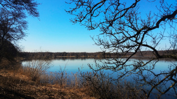 By the lake