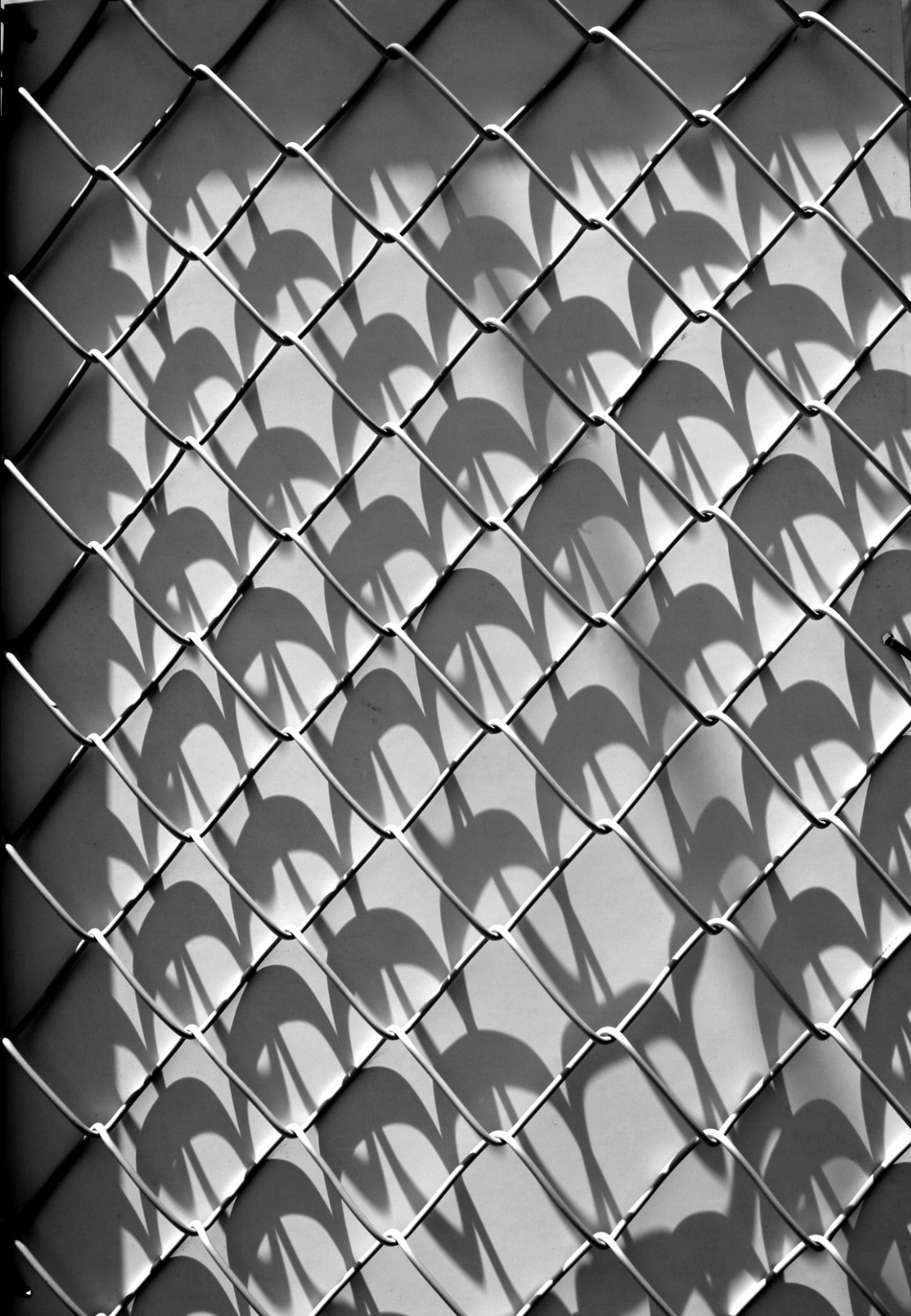 shadows