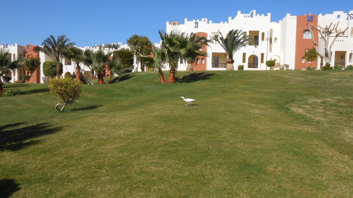 Egypt - Hurghada