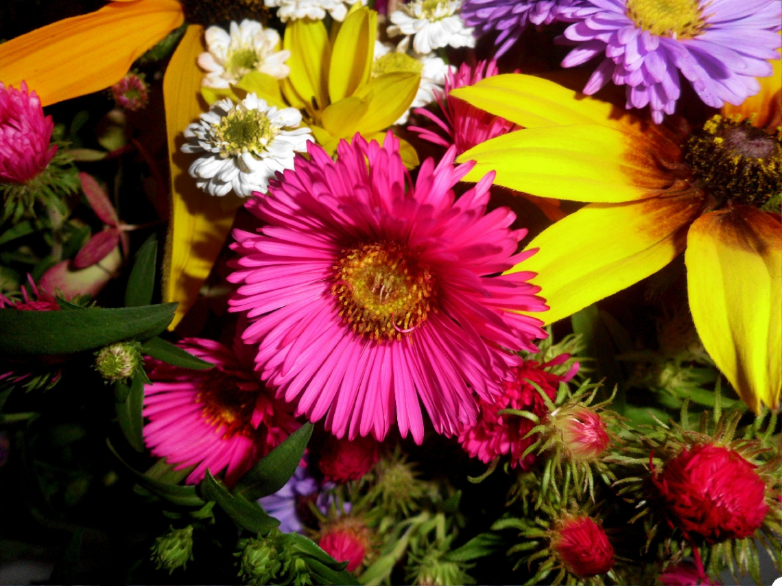 BLUMEN 