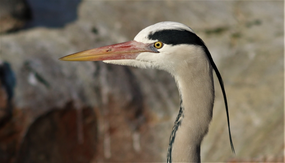 Heron´s moment