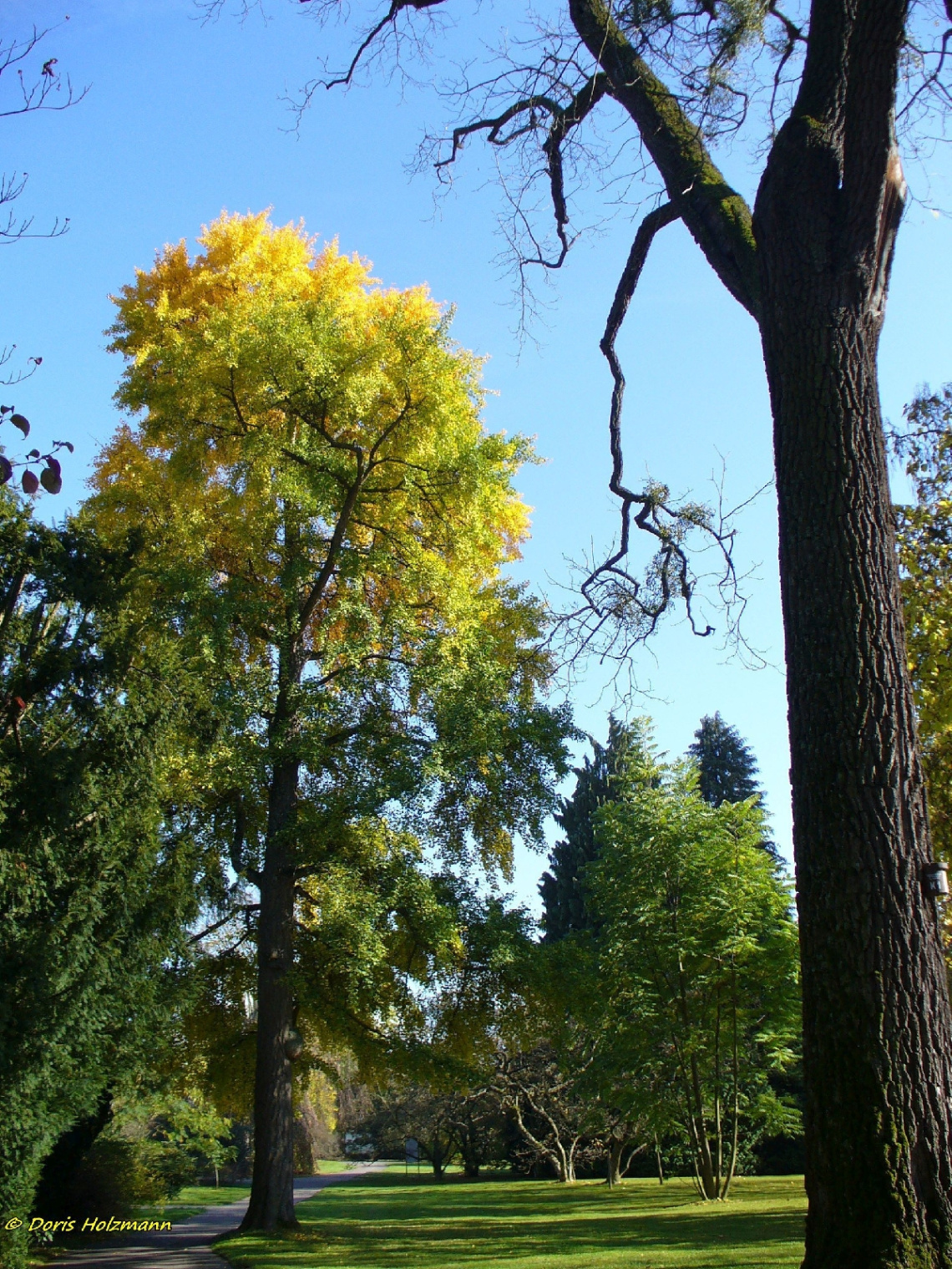 Teil der Parkanlage Schloss Hohenheim 