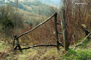 çit
