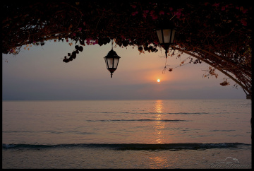 the Sunrise