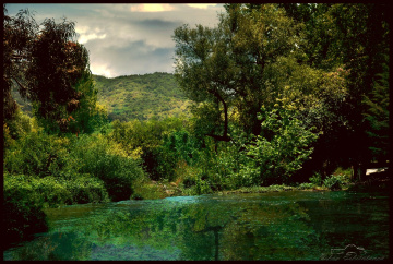 stream
