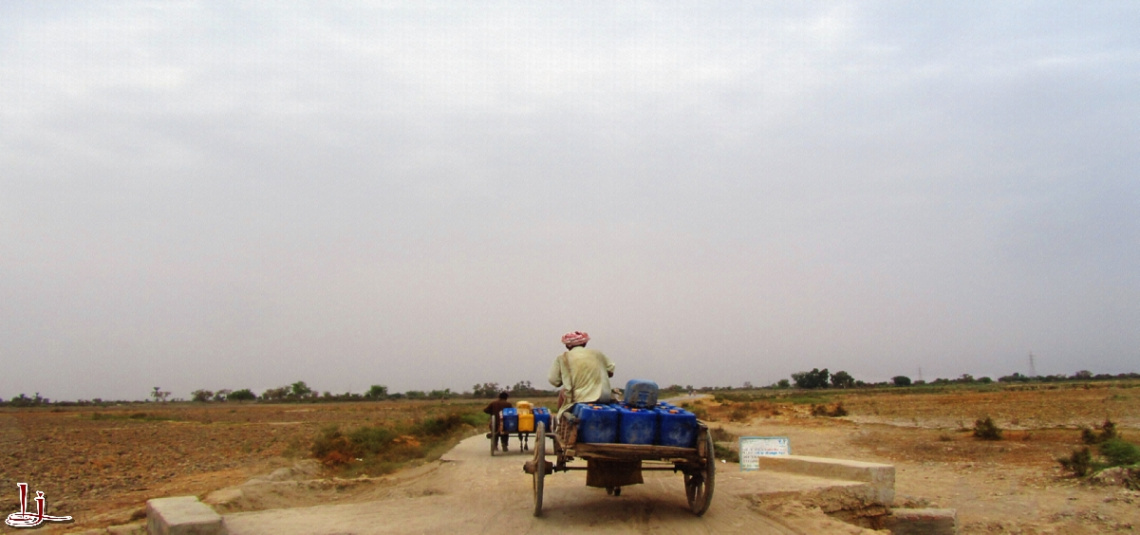 In search of drinking water :(