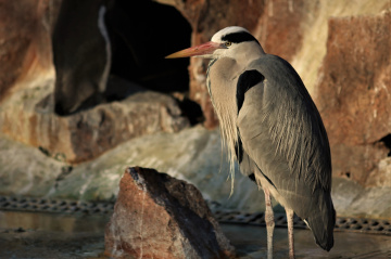 Heron´s moment