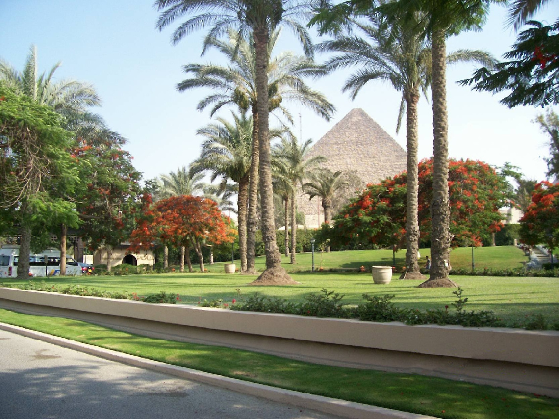 Egypt - Near the pyramids