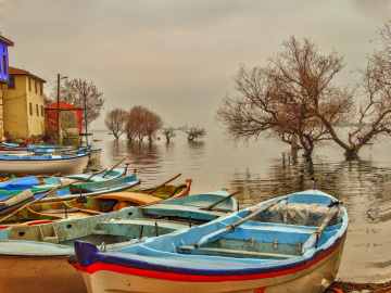 Gölyazı