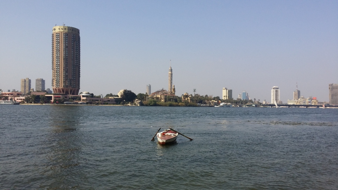 Egypt - Cairo - Nile fluke