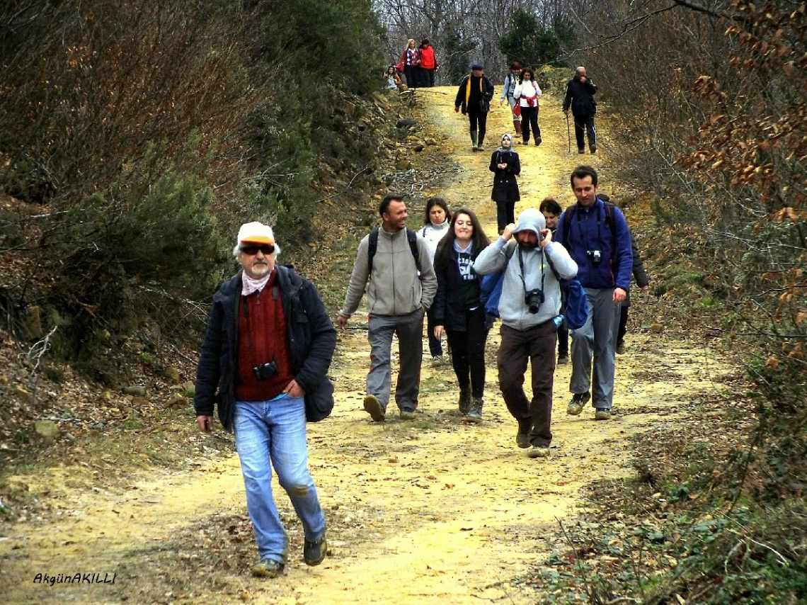DOĞAYA YOLCULUK