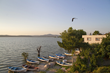 Gõlyazı