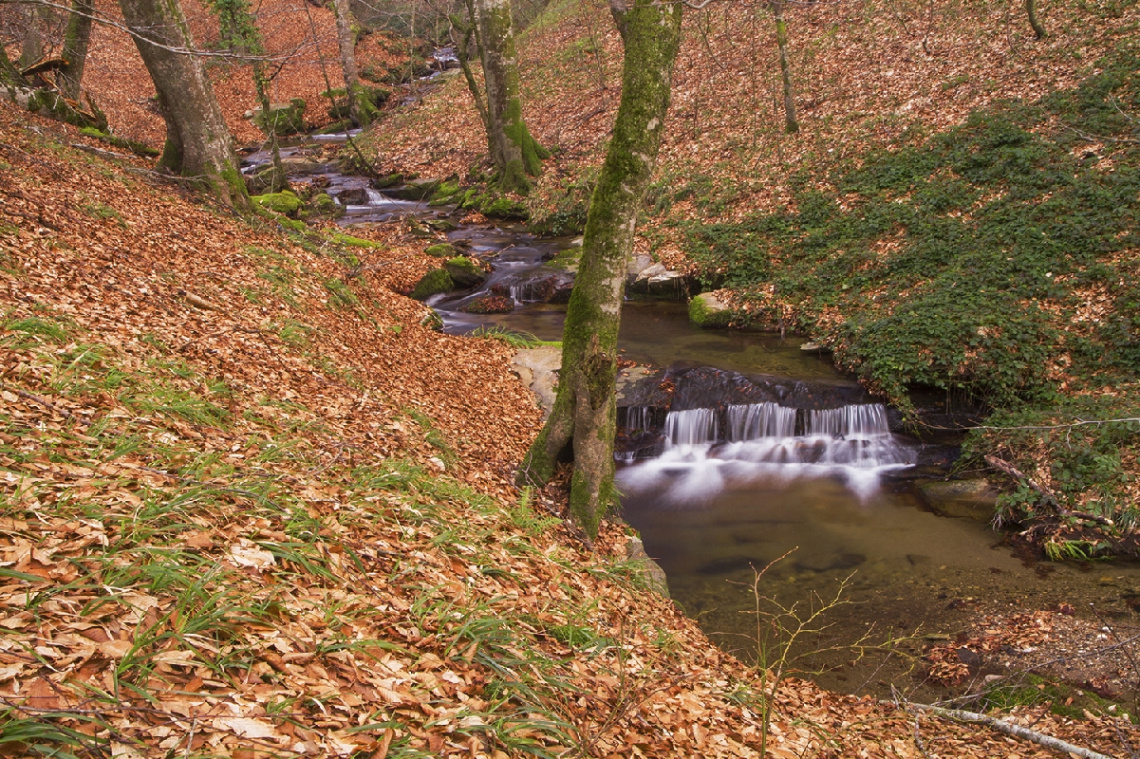 Bahara Doğru