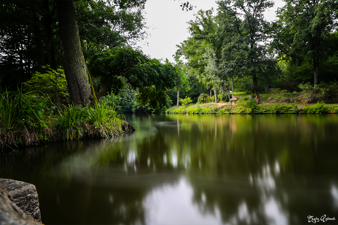 Atatürk Arboretumu