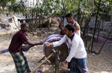 Life around us (Working People)